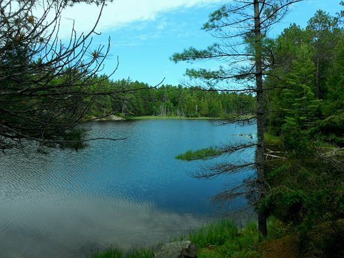 Petroglyphs Provincial Park